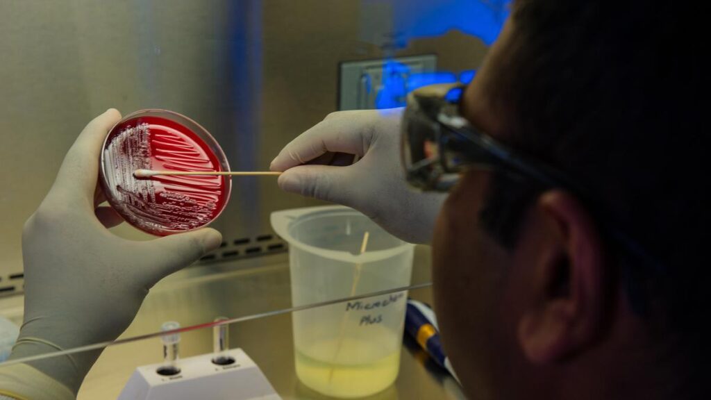 Biaya Tes DNA dan Prosedur yang Diperlukan, Pahami Manfaat dan Tujuannya