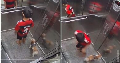 Aksi Bocah Selamatkan Anjing Peliharaan yang Terjebak di Lift Ini Banjir Apresiasi