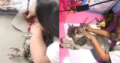 6 Potret Aksi Aneh Anak Saat Tracing Gambar, Ada yang Pakai Kucing