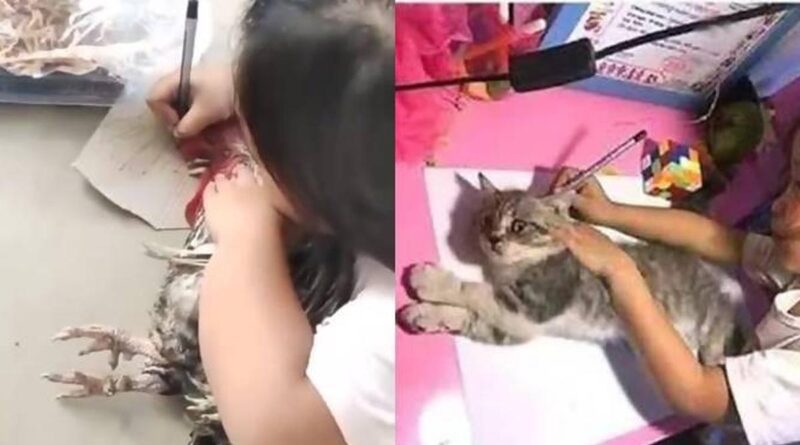 6 Potret Aksi Aneh Anak Saat Tracing Gambar, Ada yang Pakai Kucing