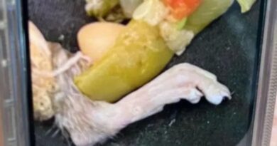 Pria Ini Menemukan Kaki Tikus Berbulu di Sup, Kuku Panjangnya Menusuk Pipi