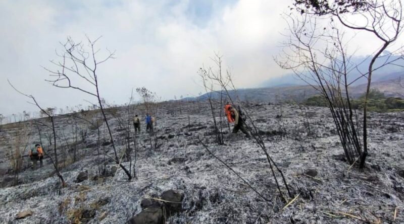 Pendakian Gunung Arjuno ditutup akibat kebakaran hutan