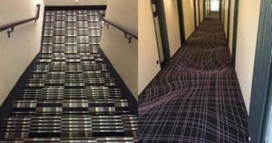 7 foto desain karpet aneh ini punya motif yang membingungkan