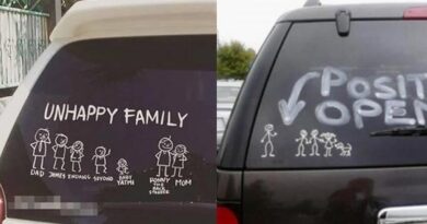 6 Stiker di Belakang Mobil Ini Aneh, Bukan Keluarga Bahagia