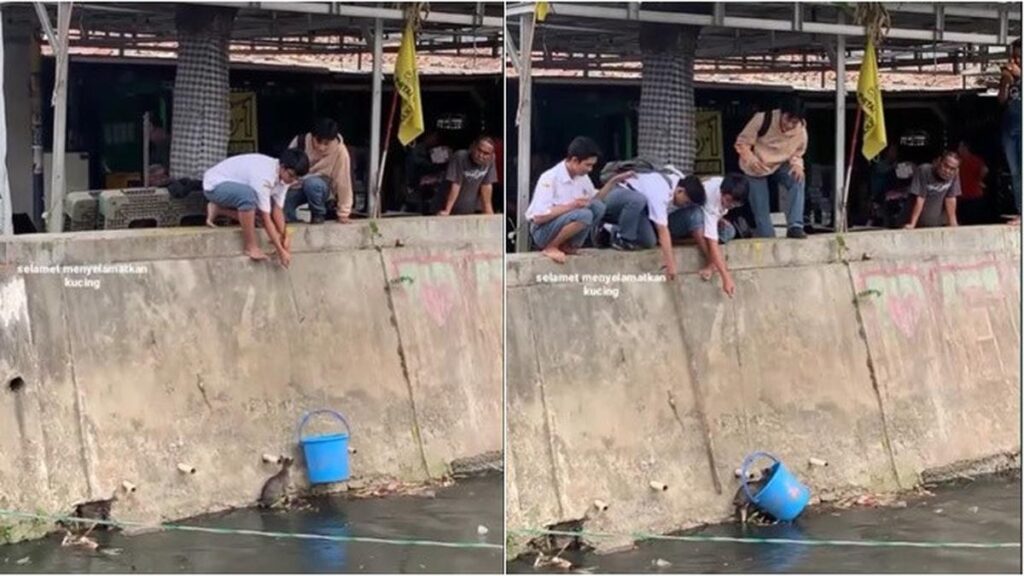 Momen 4 siswa SMA yang bahu-membahu membantu seekor kucing yang terjatuh ke sungai, membuat mereka salut