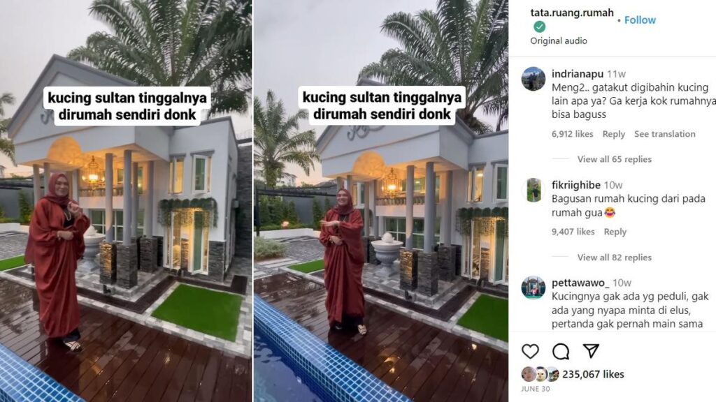 Viral Rumah Kucing Dua Lantai dengan AC, Lebih Mewah dari Rumah Netizen