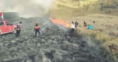 5 Fakta Terbaru Kebakaran Bukit Teletubbies Bromo Akibat Flare Saat Foto Prewedding