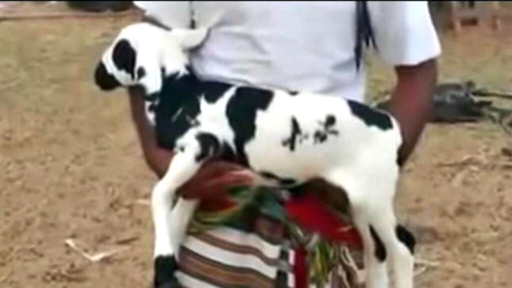 Apa itu Keajaiban?  Ketahui Macam dan Perbedaan Karamah