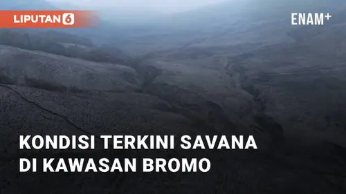 VIDEO: Kondisi Terkini Akibat Kebakaran Savana di Kawasan Gunung Bromo