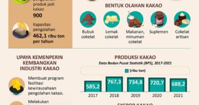 Pengembangan industri kakao Indonesia - Infografik ANTARA News
