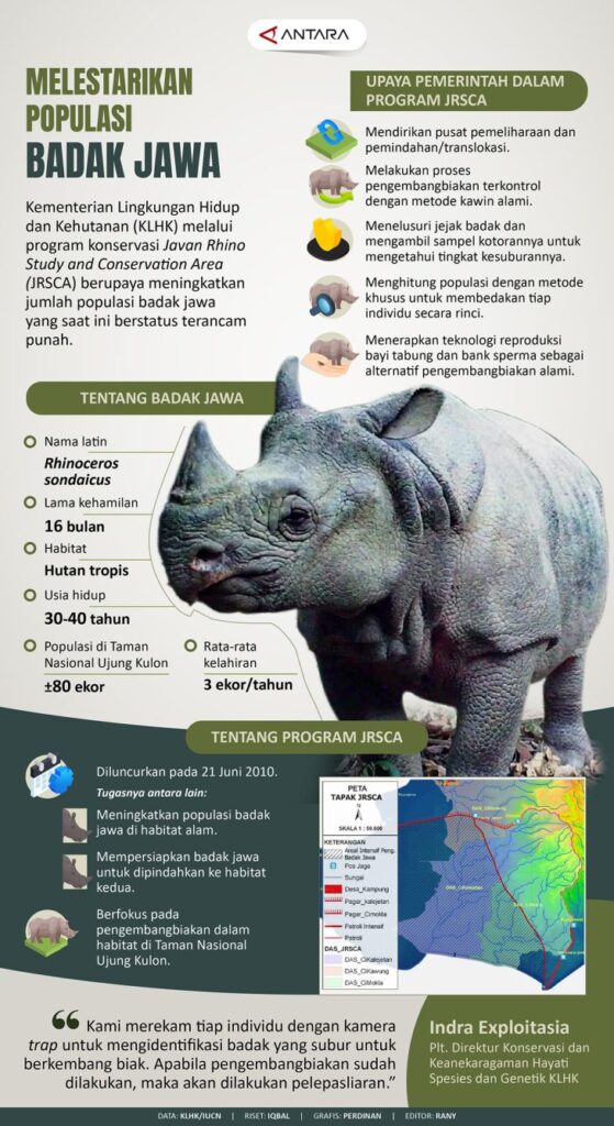 Melestarikan populasi Badak Jawa - Infografik ANTARA News