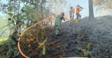 BMKG ingatkan potensi kebakaran hutan dan lahan di sejumlah wilayah