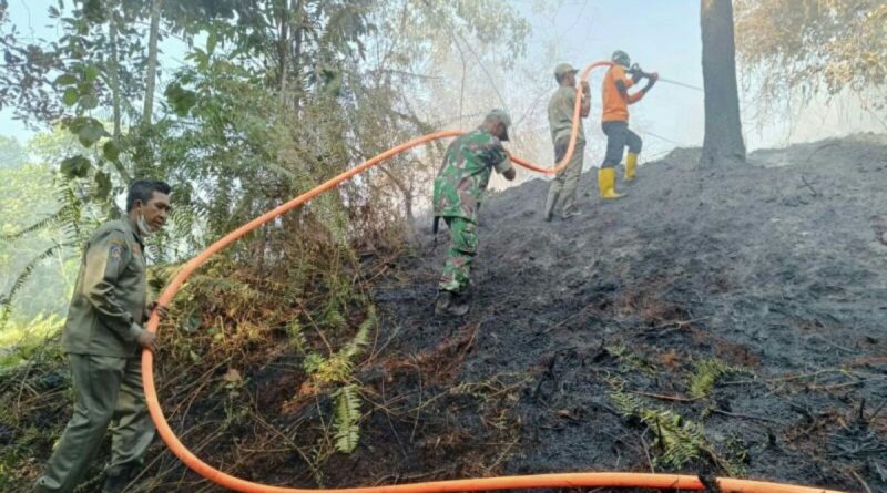 BMKG ingatkan potensi kebakaran hutan dan lahan di sejumlah wilayah