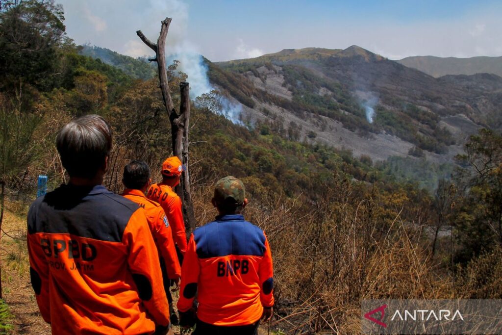 Kawasan hutan dan lahan Gunung Bromo kembali terbakar