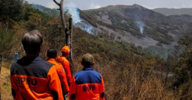 Kawasan hutan dan lahan Gunung Bromo kembali terbakar