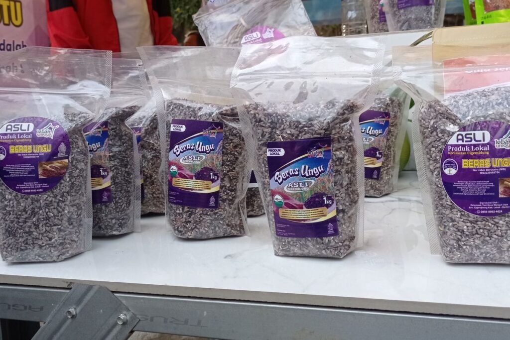 Petani Lebak kembangkan beras ungu organik