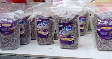 Petani Lebak kembangkan beras ungu organik