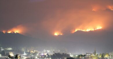 Kawasan hutan dan lahan Gunung Arjuno terbakar