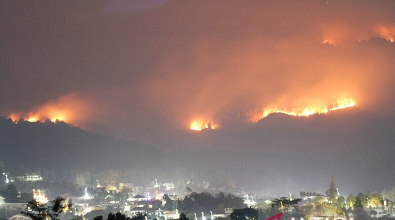 Kawasan hutan dan lahan Gunung Arjuno terbakar