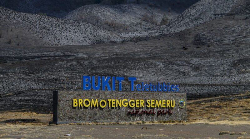 Kebakaran hutan dan lahan seluas 500 hektare di Gunung Bromo akhirnya padam