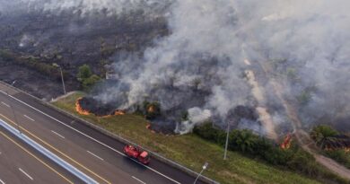 Kebakaran lahan di sisi Jalan Tol Trans Sumatera ruas Palembang-Indralaya