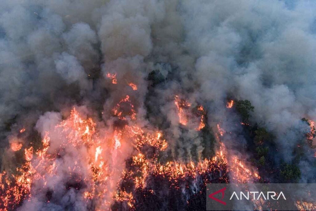Kebakaran lahan di sebelah JTTS Palembang-Indralaya