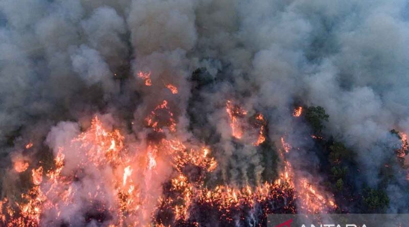 Kebakaran lahan di sebelah JTTS Palembang-Indralaya