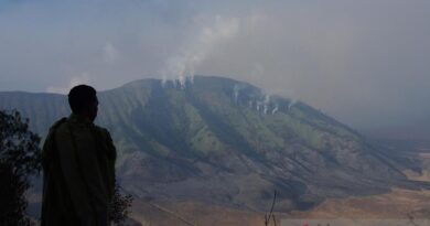 Kawasan Gunung Bromo ditutup akibat kebakaran