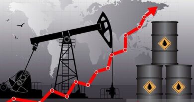 Minyak naik didukung data ekonomi China, AS dan pemangkasan OPEC+