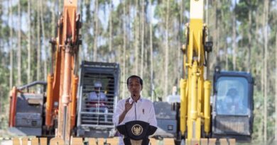 Jokowi kebut kesiapan tanah di IKN untuk merespons minat investor