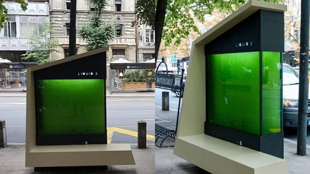 Liquid Tree Inovasi Unik 'Pohon Cair' Serbia Perangi Polusi Udara, Efektifkah?