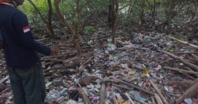 Darurat Sampah Jogja: Melayang Jauh ke Laut, Sampah Rusak Ekosistem
