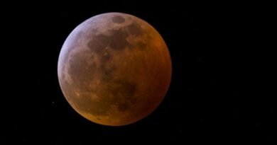 6 Mitos Gerhana Bulan untuk Ibu Hamil, Berikut Penjelasan LAPAN