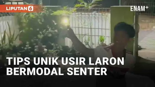 VIDEO: Tips Unik Pemuda Usir Laron Hanya Bermodal Senter