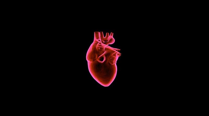Ilmuwan Harvard: Inilah Proses Awal Detak Jantung yang Menakjubkan