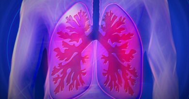 Bronkiolus merupakan bagian terkecil dari paru-paru.  Simak ciri-cirinya, struktur dan fungsinya