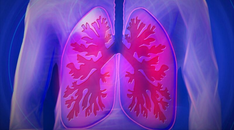 Bronkiolus merupakan bagian terkecil dari paru-paru.  Simak ciri-cirinya, struktur dan fungsinya
