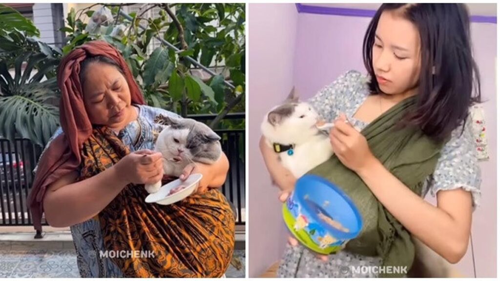 6 Potret Kucing Makan dan Diberi Makan Seperti Manusia Ini Lucu, Manja Banget