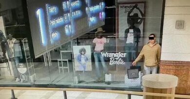 Pencuri Menyamar Jadi Manekin untuk Merampok Mall, Ujungnya Tak Terduga