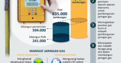 Jaringan gas rumah tangga di Indonesia