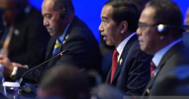 Jokowi tegaskan Indonesia konsisten suarakan kepentingan negara berkembang
