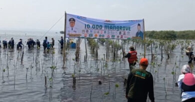 PCNU Pasuruan memperingati Hari Santri dengan menanam 10 ribu pohon mangrove