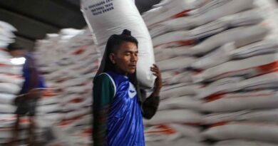 Stok beras nasional dipastikan aman hingga akhir tahun