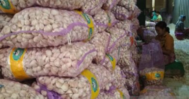 Kementan terbitkan rekomendasi impor bawang putih volume 1,1 juta ton