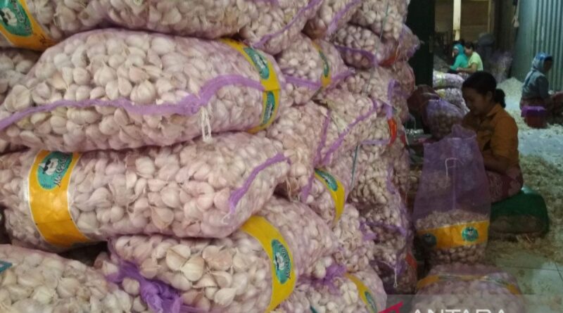 Kementan terbitkan rekomendasi impor bawang putih volume 1,1 juta ton