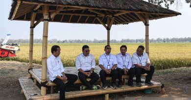 Presiden Jokowi tinjau panen padi di Subang