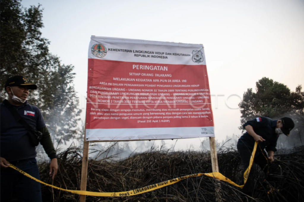 Restorasi gambut yang mendatangkan manfaat bagi masyarakat