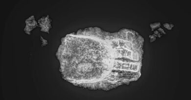 Arkeolog Temukan Kerangka Abad Pertengahan dengan Tangan Palsu Berusia 400 Tahun, Begini Penampakannya