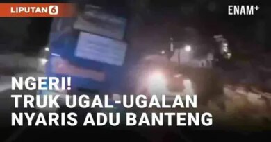 VIDEO: Ngeri! Truk Ugal-Ugalan di Jalan Pantura Situbondo Nyaris Adu Banteng