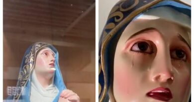 Video Viral Patung Perawan Maria Ini Bikin Pengunjung Gereja Kaget, Mereka Tampak Menangis